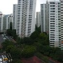 청솔내마을 이미지