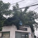 강남대로89길 18 이미지