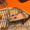 놀란돼지(성남점) | [경기 성남]메종드 쿠로이 제주흑돼지돈카츠 일본식가정식추천 솔직후기