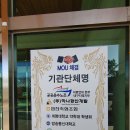 맥섬석인프라 이미지