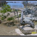 고양농장 이미지