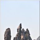 홍도 이미지