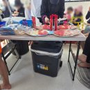 케이 돌핀크루즈
