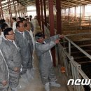 금성 태양광발전소 이미지