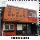 몽그라운드 | 탄방동 애견카페 몽그라운드 가격 및 후기 추천 리뷰 주차 예약 알아볼까요