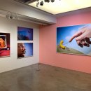 테리보더의 먹고+즐기고+ 사랑하라 이미지