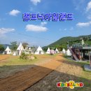 캠프닉아일랜드
