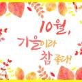 모키드(주)