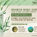 티블리 이미지