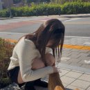 도솔만두 이미지