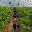 수은농장 이미지