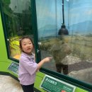 함평태권도장 이미지