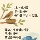 새육일약국 이미지