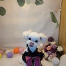 놀러와캣독 이미지