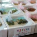 샬롬음악학원 이미지