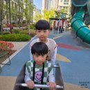 베베 | 어린이 샴푸 초등학생 정수리 냄새 고민 끝! 몽쉘베베 후기