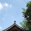 미호경로당 | 군포 천지암, 천지맘 충청남도 대전 취백정[翠白亭] 가다