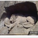 포틀라스 이미지