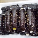 동해 꼬마김밥 이미지