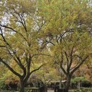 경상남도 수목원 이미지