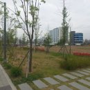 안심뉴타운 근린공원 이미지