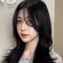 베체헤어
