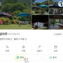 멍잎 | 대구 멍마루 반려견 운동장 대관 내돈내산 솔직후기