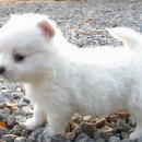 윤재농장 이미지