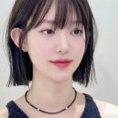 에이치541 이미지