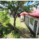 제주마중 협재 이미지