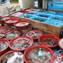 삼천포중앙시장 이미지