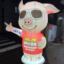 카카오 이미지