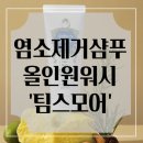 팀스 짐 | 염소제거 수영장 샴푸추천 팀스모어 올인원 솔직후기