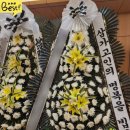 경상북도포항의료원 이미지