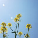 산내들농장 이미지