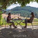 차여행사㈜ 이미지