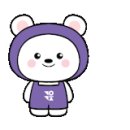 국제정원석 이미지