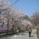 광덕사 일대 이미지