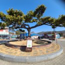 서천 판교 구 판교극장 이미지