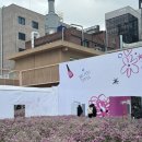 [성수] 지그재그 팝업 비유티풀 후기