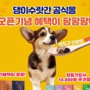 댕이몰