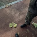[일상] 곰신 하루체험 후기