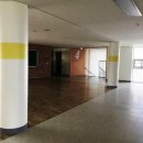 대구강림초등학교 이미지