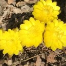 농협금천지점 이미지