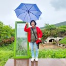 사계절투어 이미지