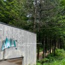 🌲강원도 밀브릿지 숙소 후기 : 전나무숲 속에서 힐링 제대로 하고 왔어요