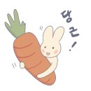 시장뒷고기