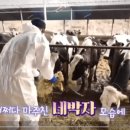 고향목장 이미지