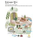 승리목장 | [JEJU🍊제주] 성산 귀여운 소품샵, 밭디 마켓 / 제주도 목장카페 밭디 조랑말 굿즈샵