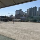 포항장흥초등학교 네이버블로그